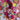 GROW A PAIR - ornament