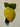 Citron knage set fra en anden vinkel