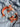 2. sortering - Karpe fisk - stor - ORANGE/RØD set oppefra