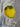 Citron fad set fra en anden vinkel