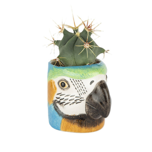 Papegøje mini vase fra Quail