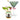 Papegøje mini vase i miljø