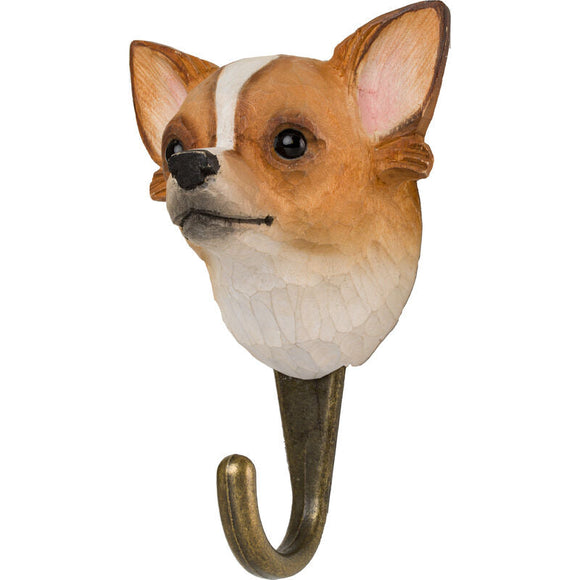Chihuahua knage — Wildlife Garden