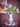 Miss Jody Vase set fra en anden vinkel