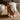 Hereford tyr vase fra Quail – tæt på detaljer