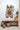 Lucky cat tæppe- Bongusta set oppefra