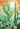 Cactus 02 plakat - flere str. (A21, A151, A1121) fra Atelier Imaginare