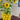 2. SORTERING / Udstillingsmodel - Citron vase i keramik – mellem, 29 cm