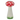 Large mushroom vase