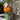 Orange tulipan vase detalje nærbillede