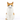 Squash katte vase