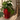 Testa Di Moro vase - Rød kvinde 30 cm fra Selected by dims studio – med grøn plante som indretning