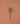 Ginkgo knage - dimsstudio