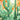 Cactus 02 plakat - flere str. (A21, A151, A1121)