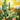 Cactus 03 plakat - flere str. (A22, A152, A1122)