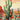 Cactus 01 plakat - flere str. (A20, A150, A1120)