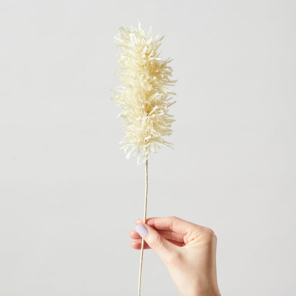 Smuk sand - Pampas Grass